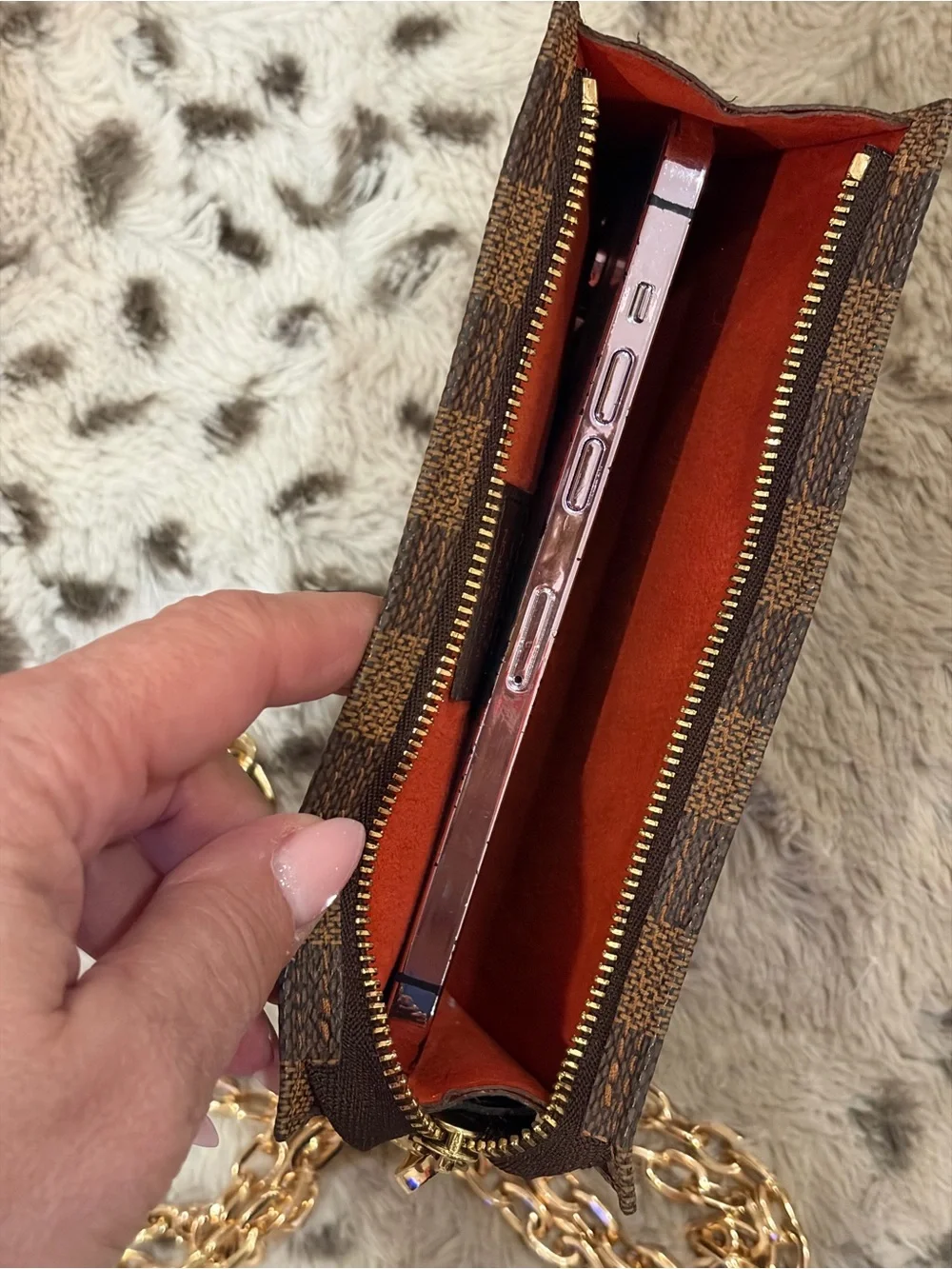 Louis Vuitton Damier Ebene Pouch